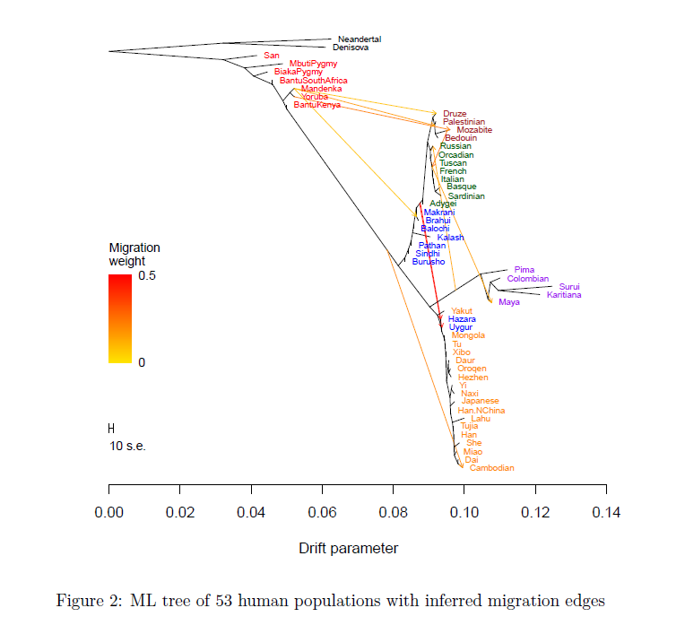 ML tree of 53 human populations with inferred migration edges