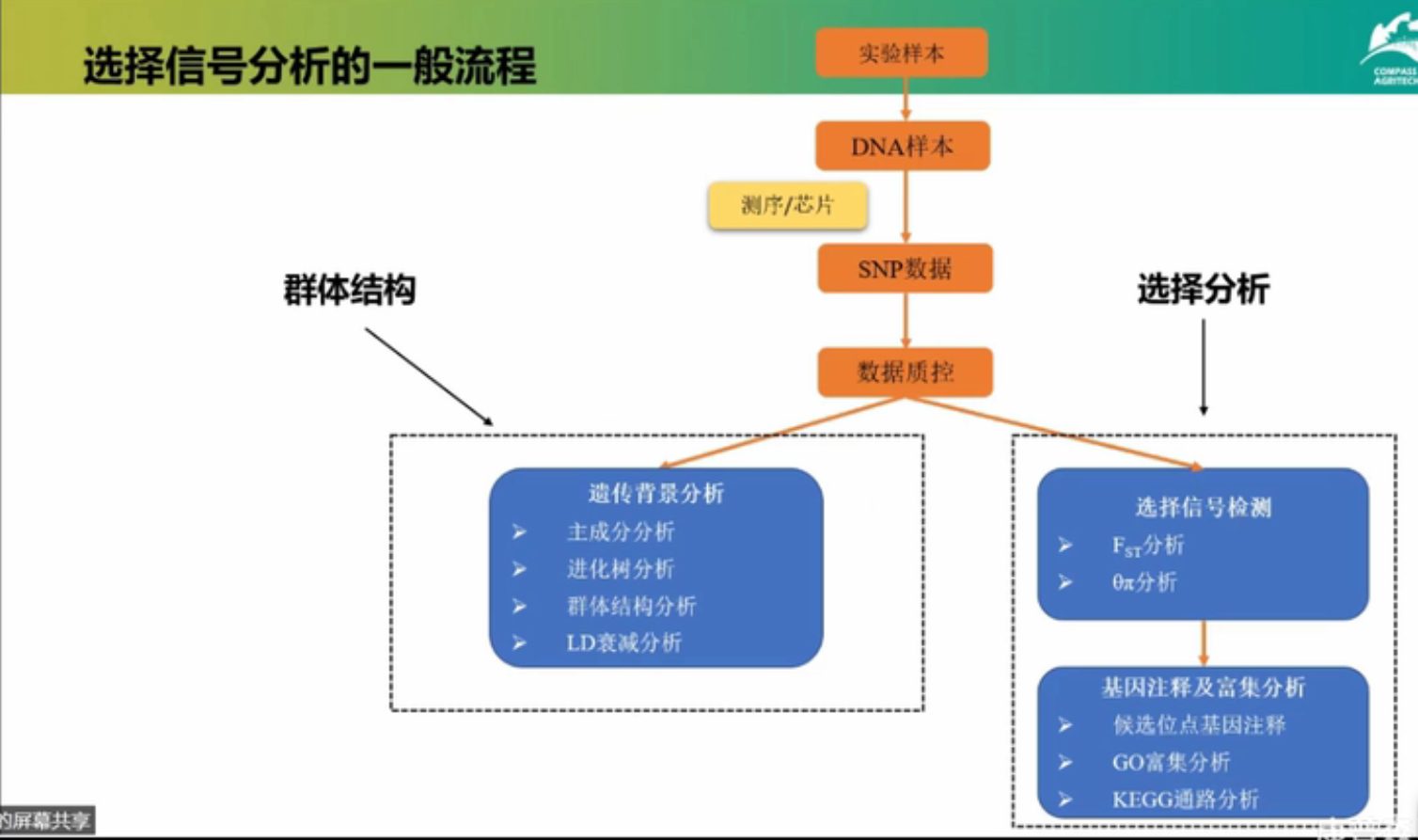 选择信号分析的一般流程